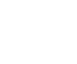 Arena Fan